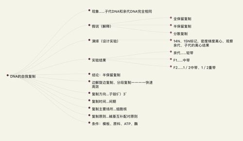 思维导图
