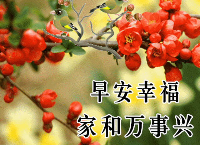 下午好动态表情图下午好表情动态图片带字和鲜花下午好问候祝福动态