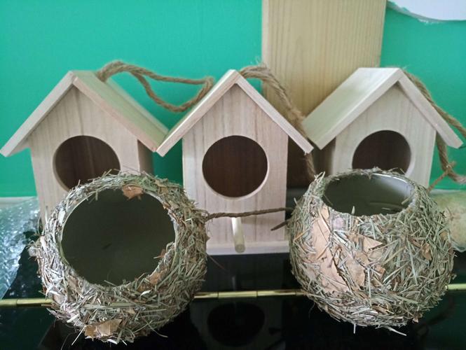 爱鸟护鸟 从我做起——屏南县实验幼儿园开展爱鸟周主题活动