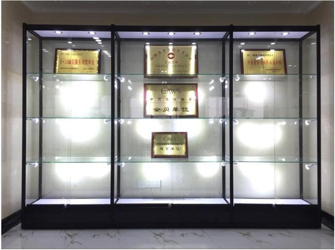 荣誉证书展示柜奖杯奖牌精品积分陈列柜办公室样品展柜产品货架