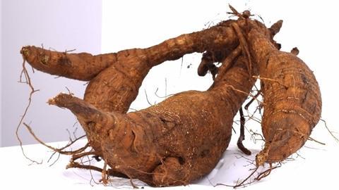 葛根的功效与作用