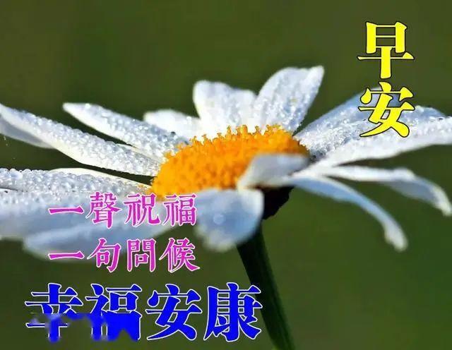 清晨群发早安问候语表情图片,漂亮早上好问候语表情图片