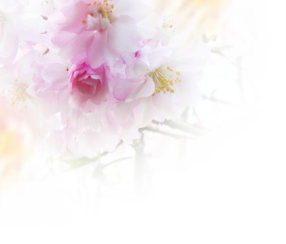 背景/幻灯片背景清新唯美_清新幻灯片背景_清新幻灯片背景.