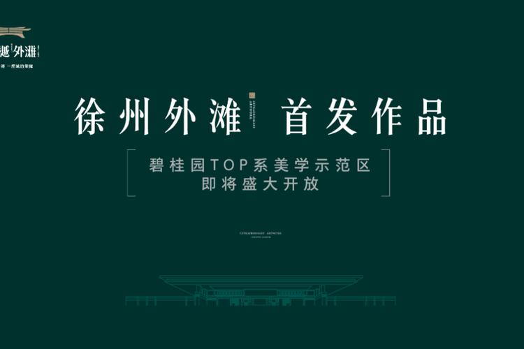 碧桂园云樾外滩-徐州碧桂园云樾外滩楼盘详情-徐州房天下