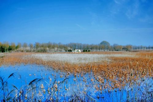 泗洪洪泽湖景区一日游_景点_一日游_风景_出行_人文