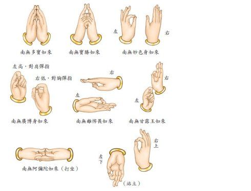 七佛如来名号 连念诵七佛如来名号加手印(三次) 南无多宝如来  南无