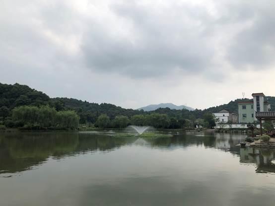 萧山区浦阳镇灵山村