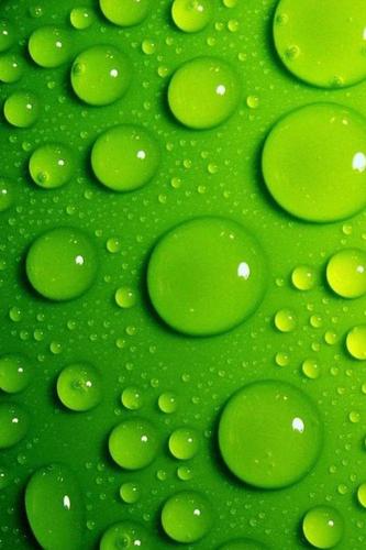 最好的护眼绿图片手机