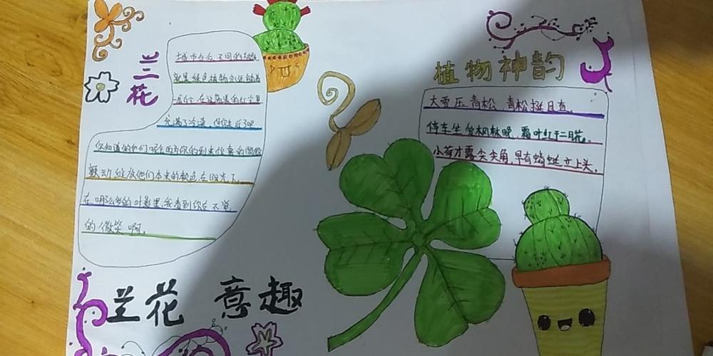 七年五班生物第二期手抄报:生物圈中的绿色植物