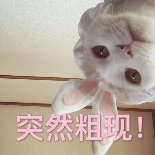 突然出现表情包(突然冒出突然出现表情包)