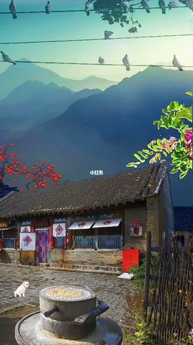 老房子_风景_山村老屋_生活记录_日常片段