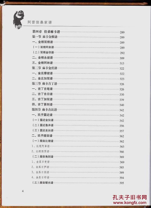 精装本阿普佳桑家谱杨氏彝族家谱少数民族家谱彝文汉文对照精装封面