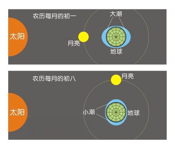 潮汐电站的原理与类型
