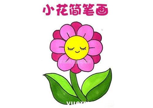 简单画一朵漂亮的花朵简笔画
