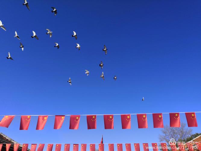 白鸽飞翔碧蓝的天