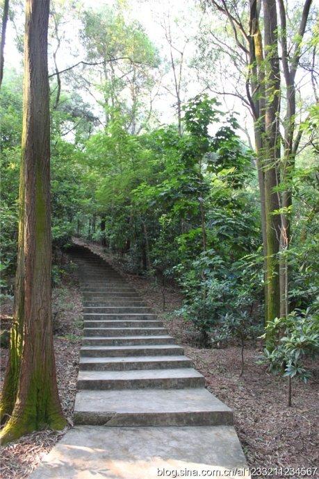 滴水岩森林公园