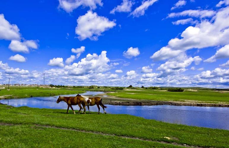 青岛去呼伦贝尔跟团游多少钱-青岛去阿尔山双飞双动六