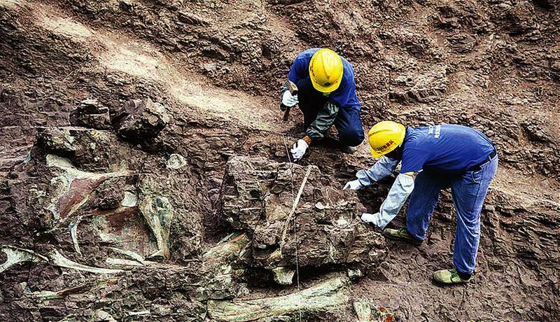 重庆云阳发现世界级恐龙化石群