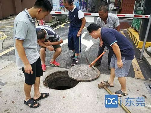 东莞一幼童掉入下水道被冲走!搜救20多小时未果