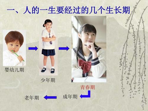 一,人的一生要经过的几个生长期 婴幼儿期 少年期 青春期 老年期 成年