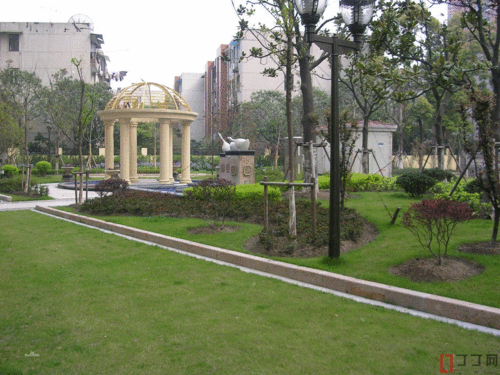 景色