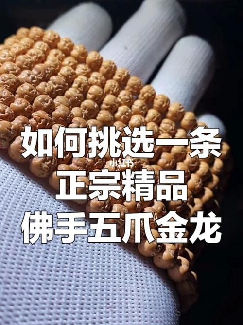 如何挑选一条精品佛手五爪金龙_菩提_金刚菩提_兴趣爱好_兴趣爱好其他