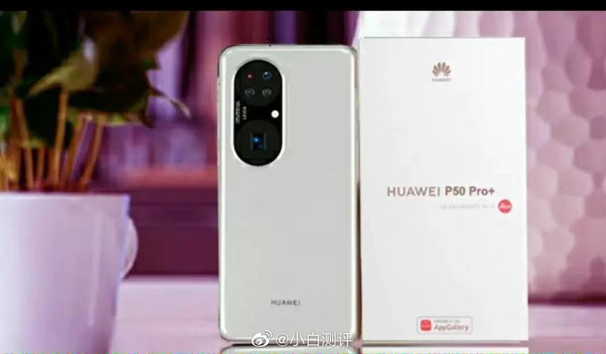 版块 69 华为手机 69 华为mate40系列 69 p50 pro   本帖最后由