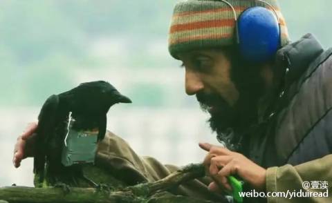 不是段子,5件isis 恐怖分子干出的真实蠢事