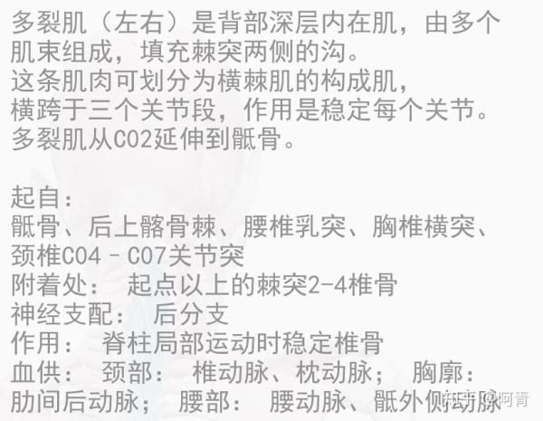 多裂肌的起止点