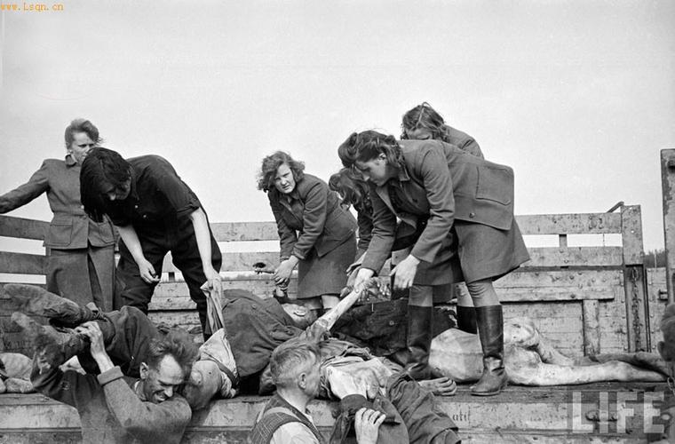 解放集中营纳粹被迫运尸_战争图片_历史千年