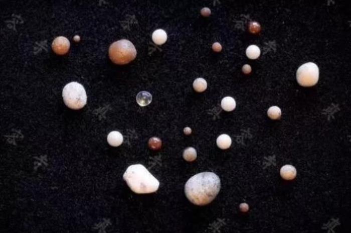 梦参老和尚舍利图片_圣空甘露网