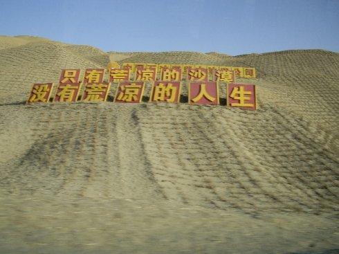 只有荒凉的沙漠,没有荒凉的人生!