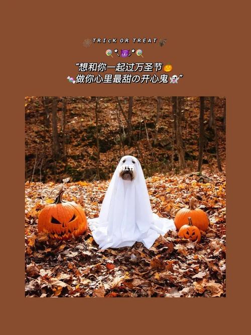 99适合万圣节发朋友圈的16条文案73快点get_万圣节去哪玩_文案