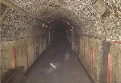 40年前的防空洞,老影院,奉贤人的记忆胶囊将改造成这样!