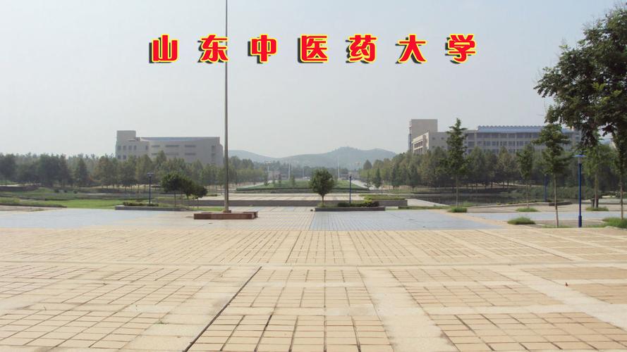 山东中医药大学