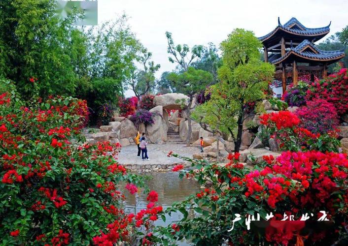 花都"宝藏级"植物园开放预约!_马岭_美景_广州