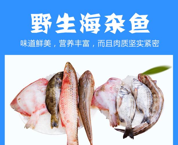 现售秦皇岛特产渤海湾新鲜海鲜深海杂鱼