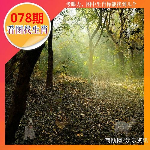 078期看图找生肖 2019年第78期看图猜特肖哪里有?