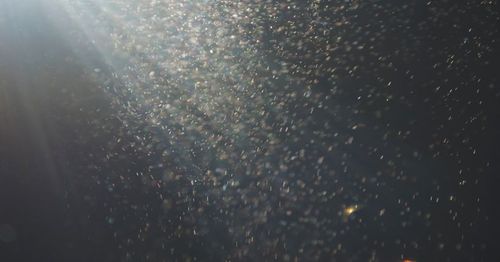 1部影片,80个普通人的高光时刻