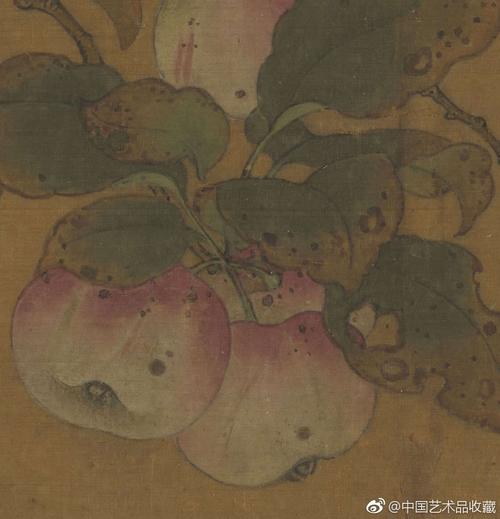 五代黄筌《苹婆山鸟》