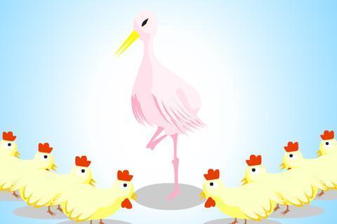 三亚会议不要试图鹤立鸡群直接离开那群鸡