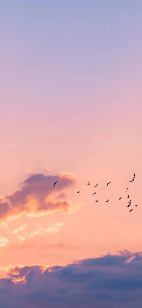 壁纸| 是橘子味的夏天啊