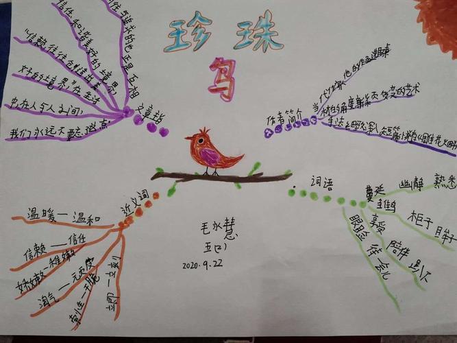 一起"画"语文(41)——《珍珠鸟》