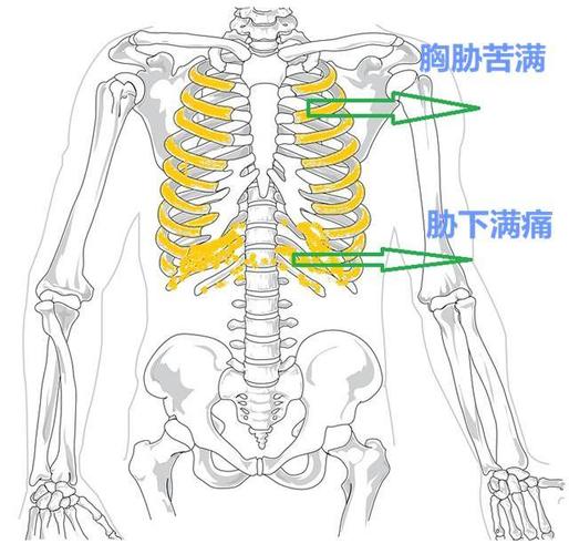 小柴胡汤是治感冒,肝病,胸胁胀闷的好方,关键要抓住它