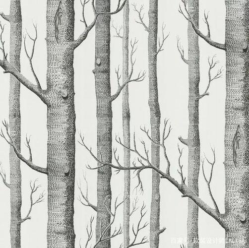 10 by cole & son cole&son挚爱的白桦树图案今年年满60岁,最初取自