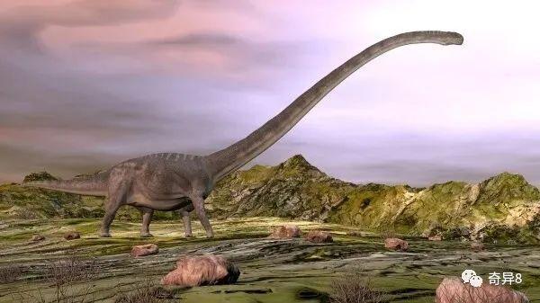 「奇异8」0242.这种史前恐怖生物 居然能够捕杀恐龙