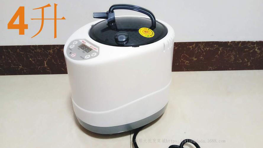多功能spa熏蒸仪家庭桑拿浴箱机汗蒸器4l中药蒸汽锅4升会销礼品