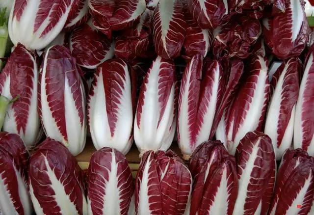 菊苣是降痛风的好食材,多吃它,可以利尿降酸_手机搜狐