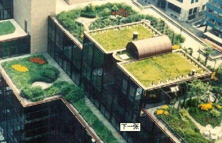 种植屋面防水的施工工艺