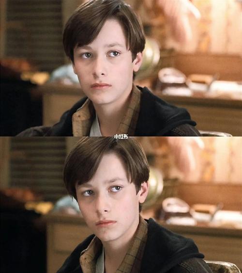 少年伏地魔汤姆里德尔爱德华弗朗欧美男星